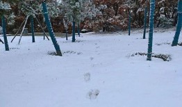 西安爆料大雪视频最新2020,银装素裹，古城焕新颜”